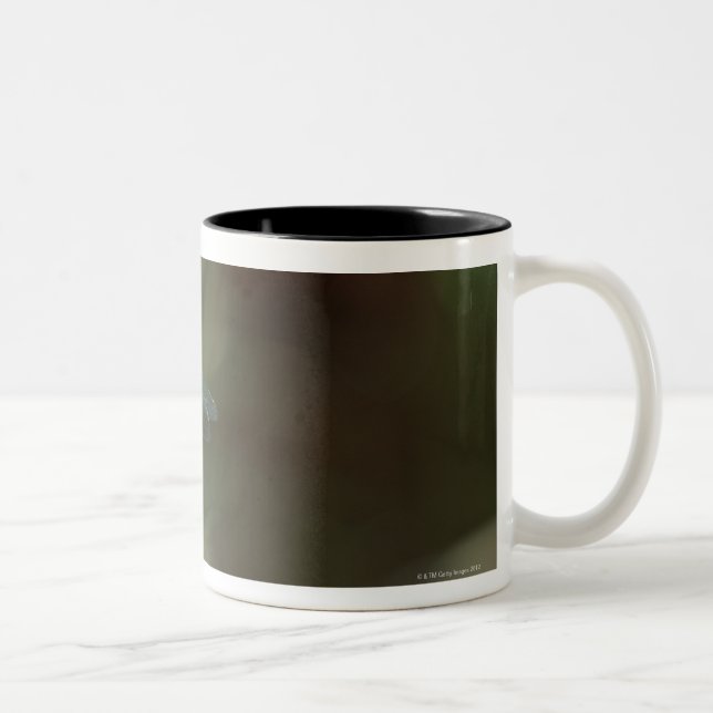 Taza Bicolor Libélula 5 (Derecha)