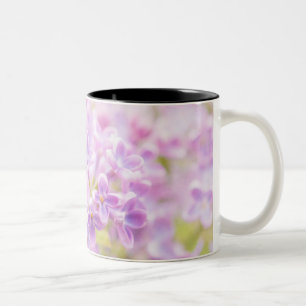 Taza Bicolor Lilac Flowers Mist