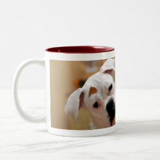 Taza Bicolor Lilllie