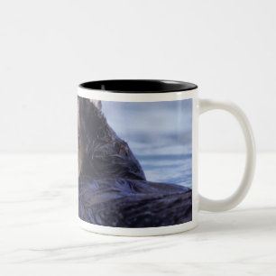 Taza Bicolor Linda nutria de mar Alaska, EE. UU.