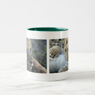 Taza Bicolor Lion bebé