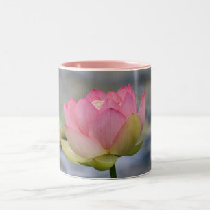 Taza Bicolor Lirio de agua rosado