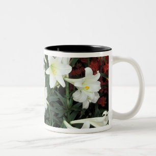 Taza Bicolor Lirio de Pascua (Lilium regale)