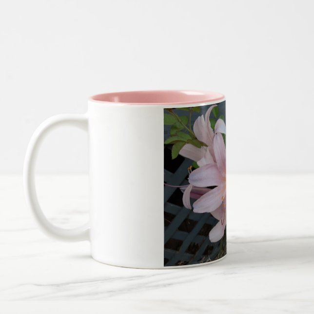 Taza Bicolor Lirio de Resurrección (Izquierda)