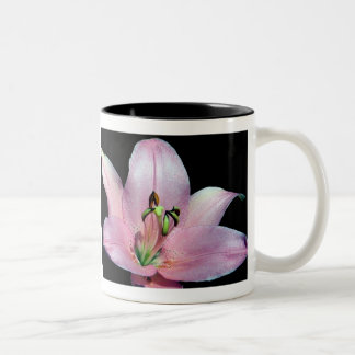 Taza Bicolor Lirio tigrado llamativo