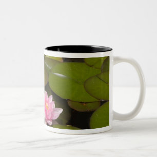 Taza Bicolor Lirios de agua en flor