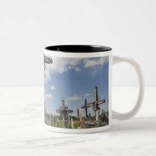 Taza Bicolor Lituania, Lituania Central, Siauliai, Colina 7