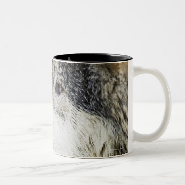 Taza Bicolor Lobo (Derecha)