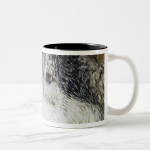 Taza Bicolor Lobo
