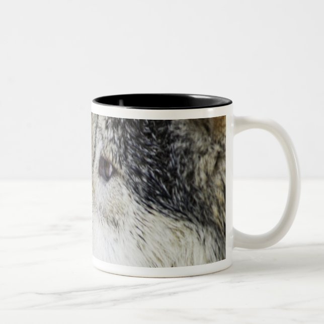 Taza Bicolor Lobo (Derecha)