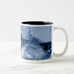 Taza Bicolor Lobo del gruñido (lupus de Canis), perfil (Digita