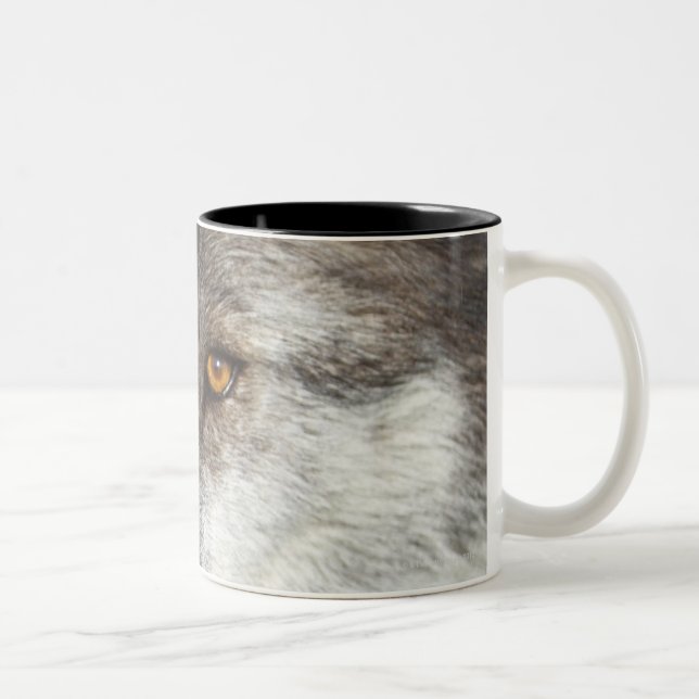 Taza Bicolor Lobo (lupus de Canis) (Derecha)