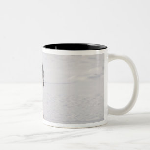 Taza Bicolor Lobo que corre en la nieve