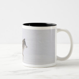 Taza Bicolor Lobo que corre en la nieve 2