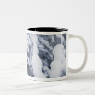 Taza Bicolor Lobo solitario en nieve