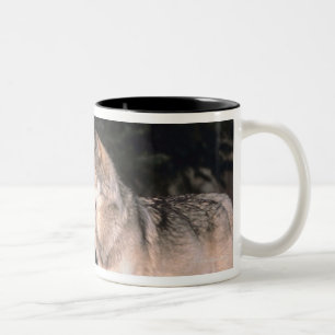 Taza Bicolor Lobos grises