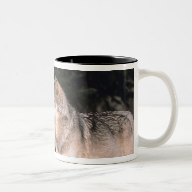 Taza Bicolor Lobos grises (Derecha)
