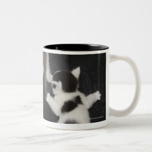 Taza Bicolor Londres, Inglaterra, Reino Unido 2