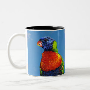 Taza Bicolor Lorikeets arcoiris colgados en una rama