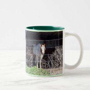 Taza Bicolor ¡Los caballos son mi cosa!!!