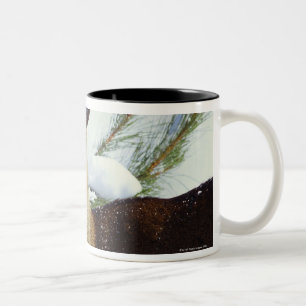 Taza Bicolor Los ciervos Blanco-atados (virginianus del