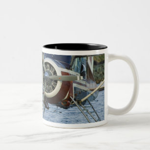 Taza Bicolor Los E.E.U.U., ALASKA, Alaska suroriental,