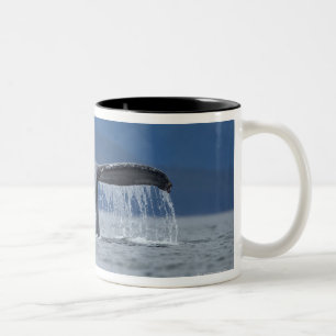 Taza Bicolor Los E.E.U.U., Alaska, bosque del Estado de