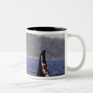 Taza Bicolor Los E.E.U.U., Alaska, orca emergente del paso