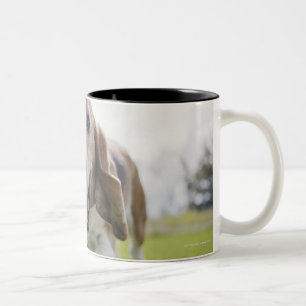 Taza Bicolor Los E.E.U.U., Colorado, perro curioso que camina