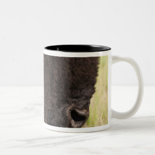 Taza Bicolor Los E.E.U.U., Dakota del Sur, bisonte americano