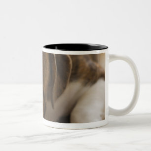 Taza Bicolor Los E.E.U.U., New Jersey, Jersey City, perrito
