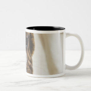 Taza Bicolor Los E.E.U.U., New Jersey, Jersey City, perrito