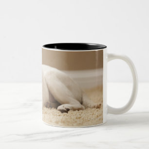 Taza Bicolor Los E.E.U.U., Utah, Lehi, retrato de Labrador