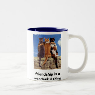 Taza Bicolor los gatos, amistad son una cosa maravillosa