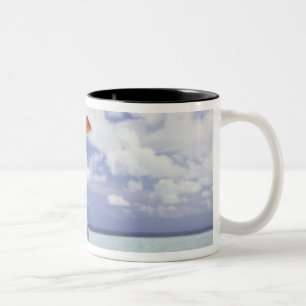 Taza Bicolor Los pescados que saltan del acuario