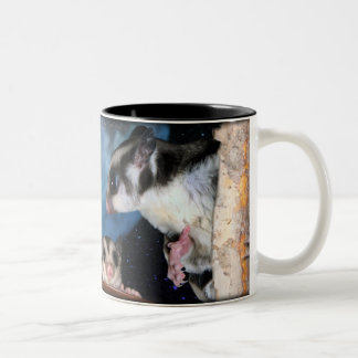 Taza Bicolor Los planeadores más lindos del azúcar - rayos de
