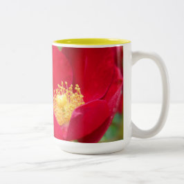Taza Bicolor Los rosas son el trapo rojo