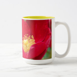 Taza Bicolor Los rosas son el trapo rojo