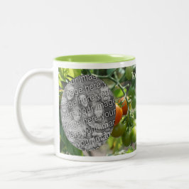Taza Bicolor Los tomates de cerezo del jardín añaden la foto