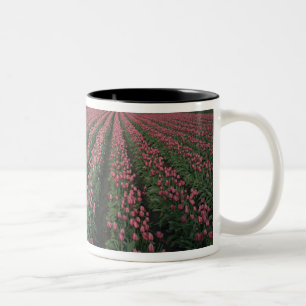 Taza Bicolor Los tulipanes rosados y rojos brillan bajo oscurid