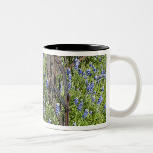 Taza Bicolor Lupinos y flox rodeando la puerta del cementerio