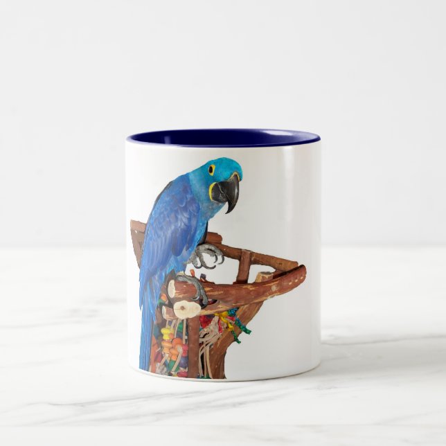 Taza Bicolor Macaw del jacinto (15oz) (Centro)