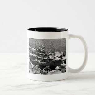 Taza Bicolor Madera de deriva
