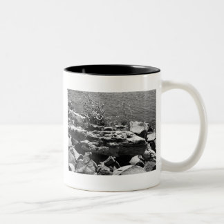 Taza Bicolor Madera de deriva