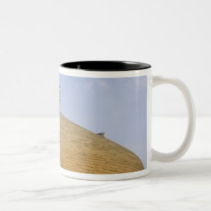 Taza Bicolor Madrasa Mirjaniyya, Bagdad, Irak