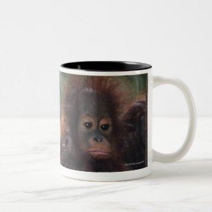 Taza Bicolor Madre del orangután con el bebé