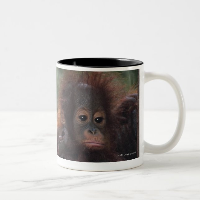 Taza Bicolor Madre del orangután con el bebé (Derecha)