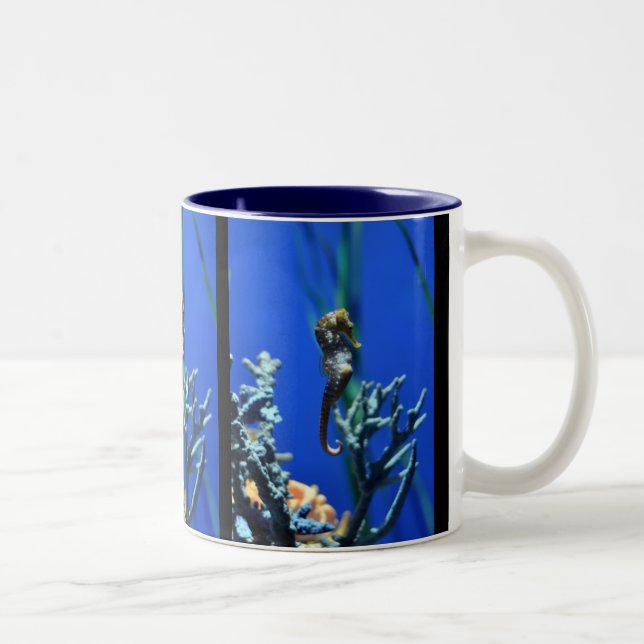 Taza Bicolor Magia del Seahorse (Derecha)
