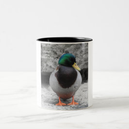 Taza Bicolor Mallard Mug 