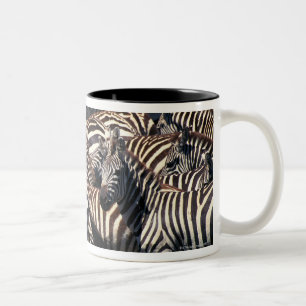 Taza Bicolor Manada de cebras